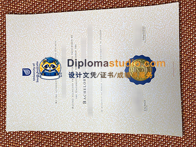 University of South Australia Diploma