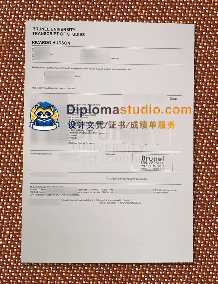 伦敦布鲁内尔大学成绩单, Brunel University of London Transcript