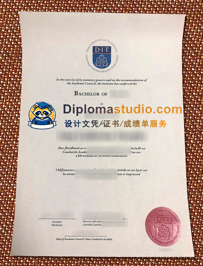 都柏林理工学院文凭, Dublin Institute of Technology Diploma