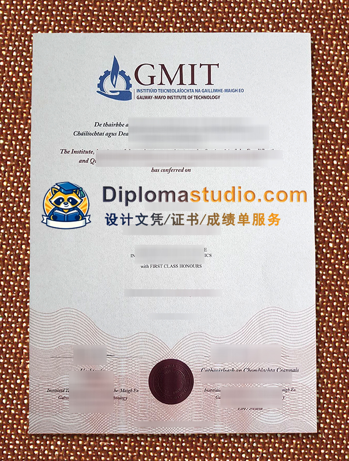 戈尔韦-梅奥理工学院文凭, GMIT Diploma