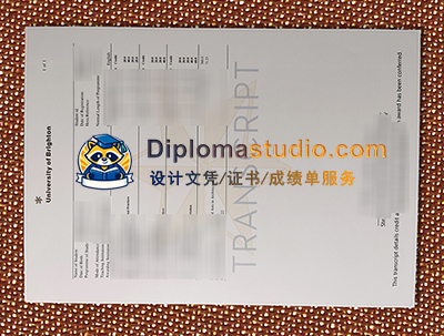 University of Brighton Transcript