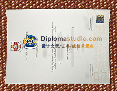 University of Bristol Degree