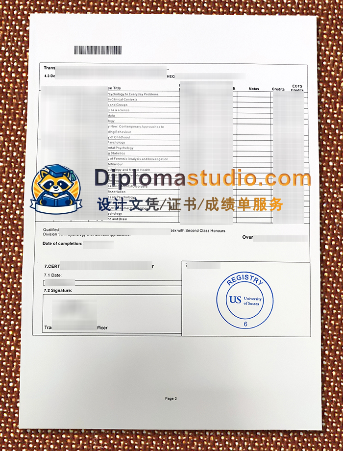 萨塞克斯大学成绩单, University of Sussex Transcript