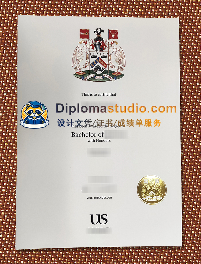 萨塞克斯大学学位证书, University of Sussex Degree Certificate